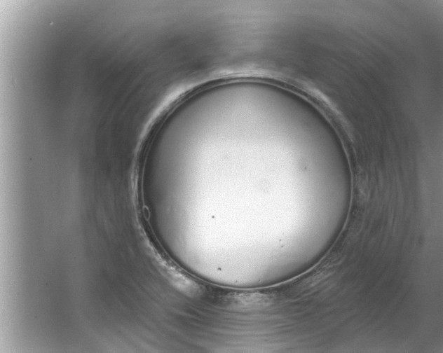 X0000064051416200602101439