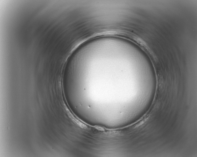 X0000064051417200602101439