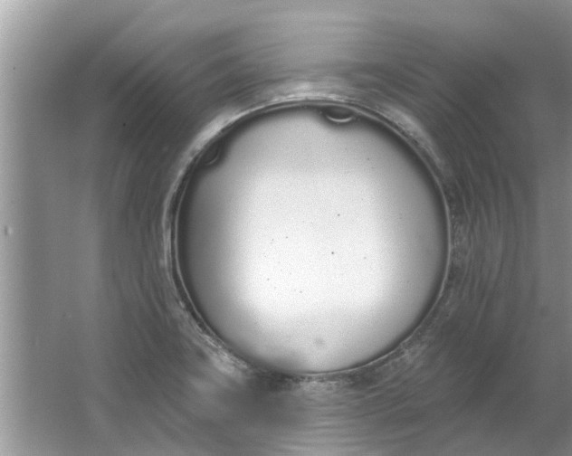 X0000064051419200602101439