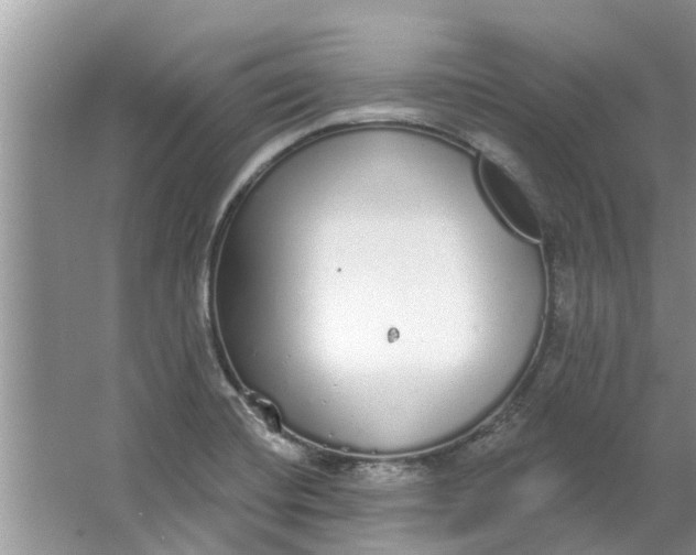 X0000064051420200602101439