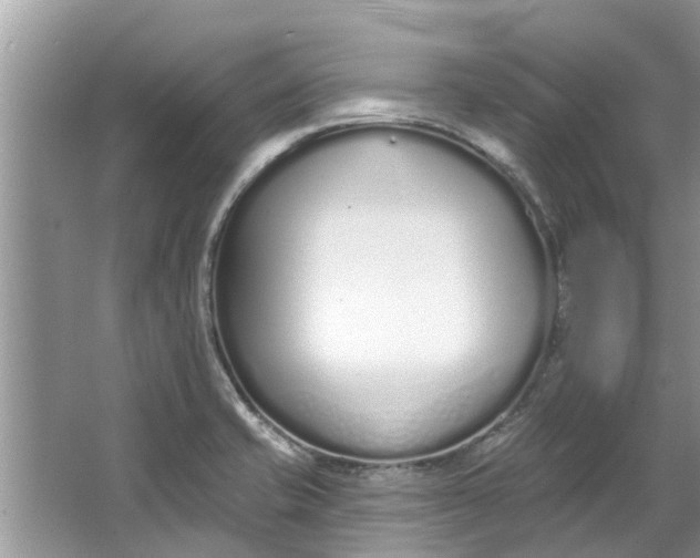 X0000064051421200602101439