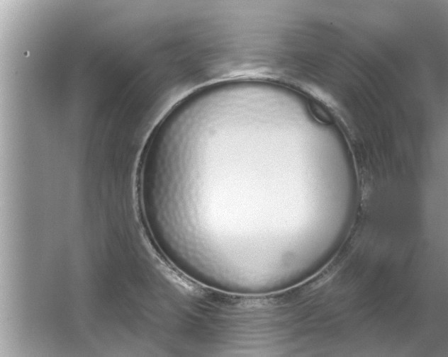 X0000064051423200602101439