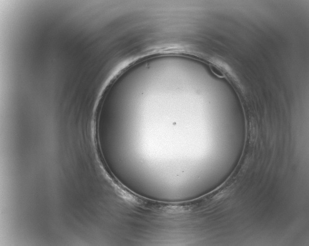 X0000064051424200602101439