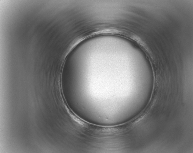 X0000064051425200602101439