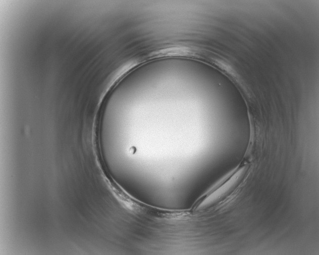 X0000064051426200602101439