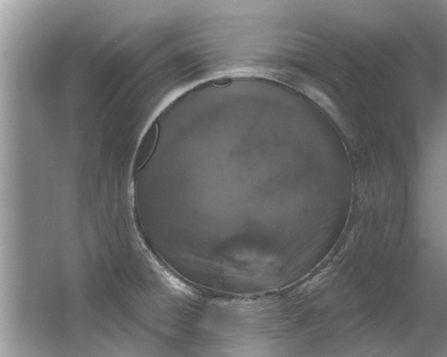 X0000064051428200602101439