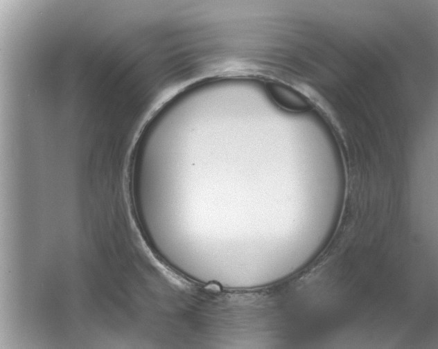 X0000064051429200602101439