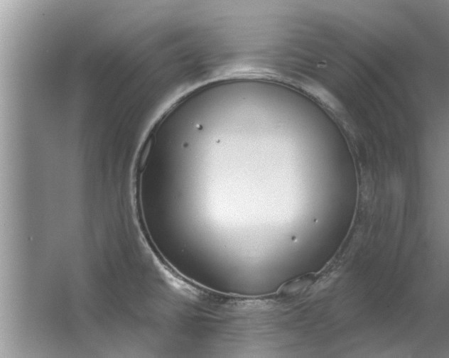 X0000064051430200602101439