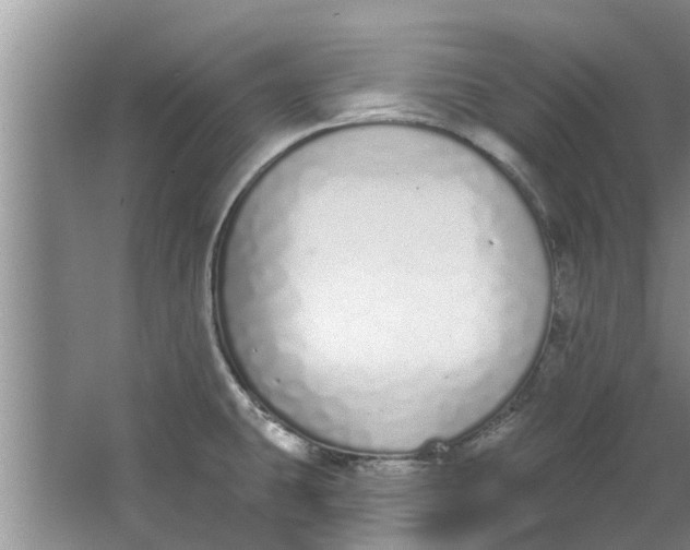 X0000064051431200602101439