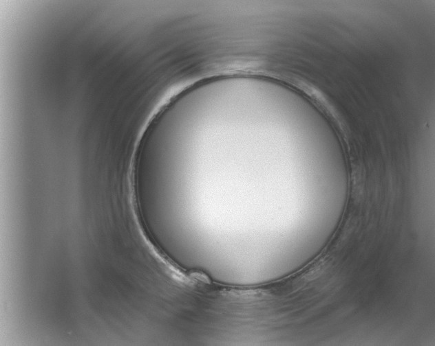 X0000064051432200602101439