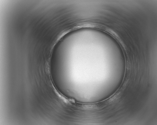 X0000064051433200602101439