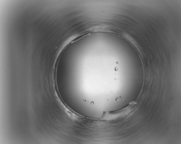 X0000064051434200602101439