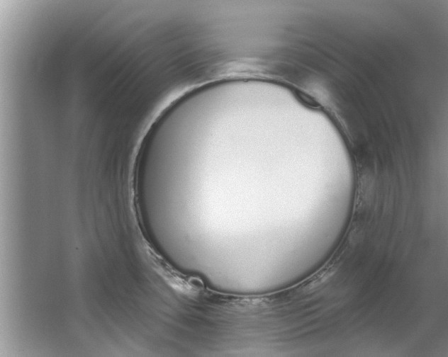 X0000064051435200602101439