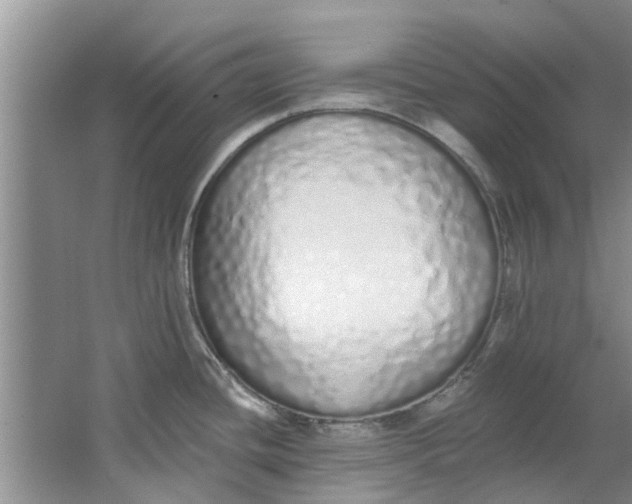 X0000064051436200602101439