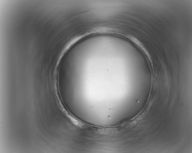 X0000064051437200602101439