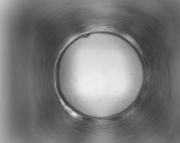 X0000064051439200602101439