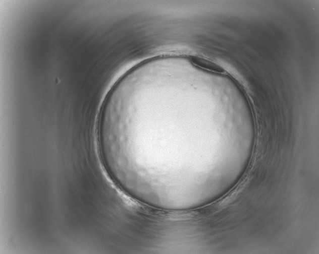 X0000064051440200602101439