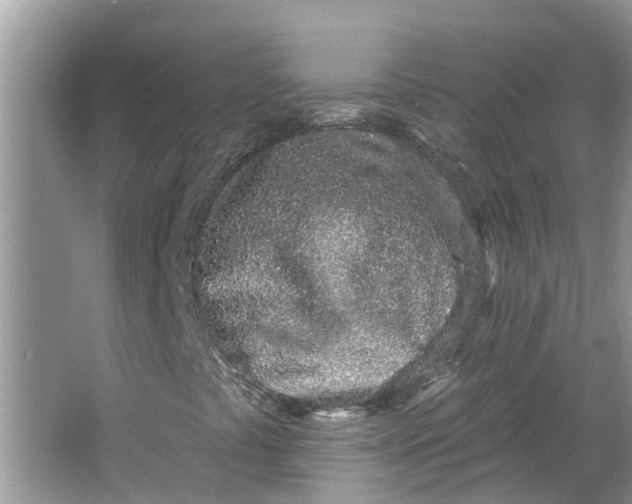 X0000064051441200602101438