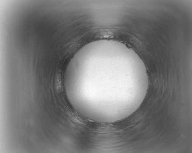 X0000064051442200602101438