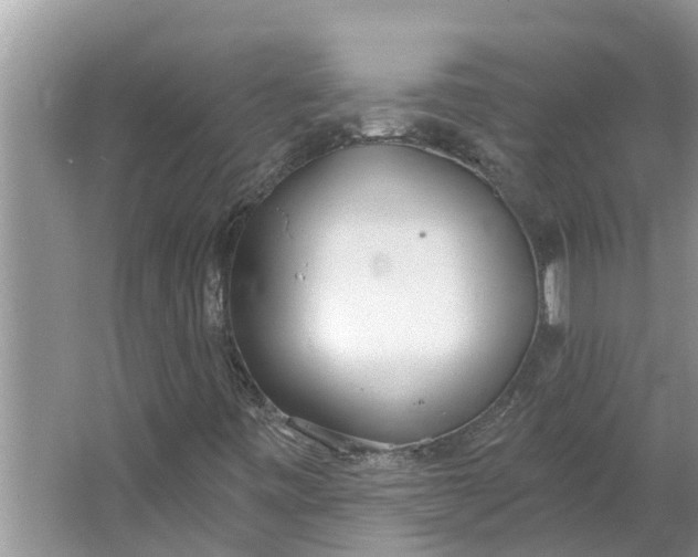 X0000064051443200602101438