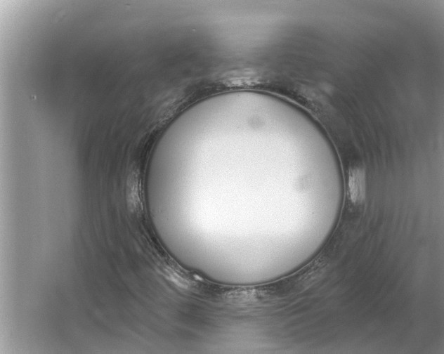 X0000064051444200602101438