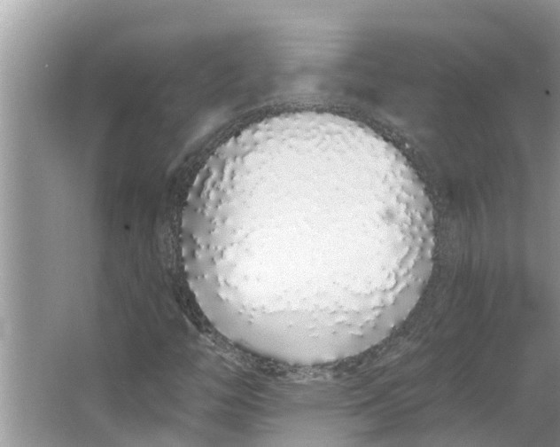 X0000064051446200602101438