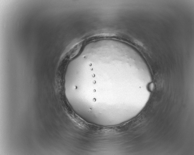 X0000064051448200602101438