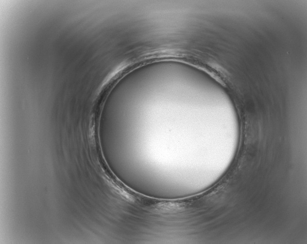 X0000064051450200602101438