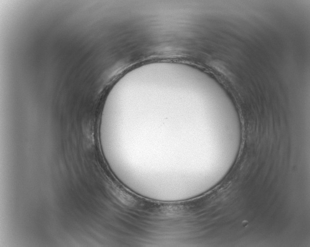 X0000064051451200602101438