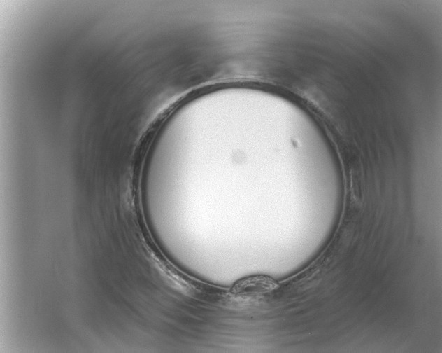 X0000064051452200602101438