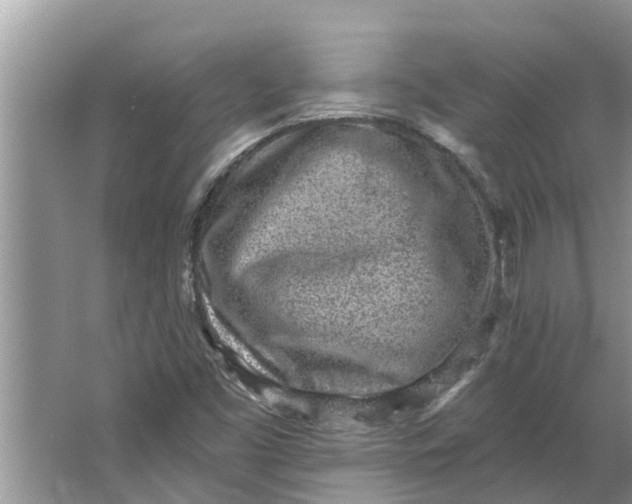 X0000064051453200602101438