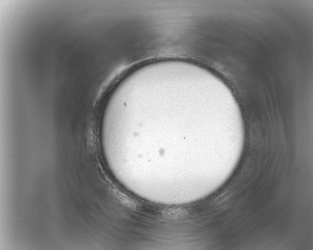 X0000064051454200602101438