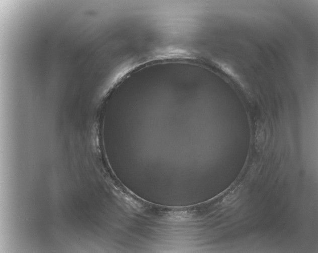 X0000064051455200602101438