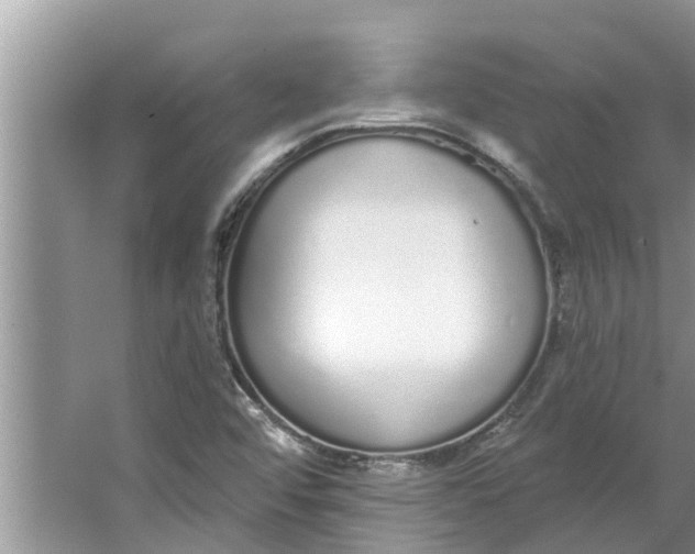 X0000064051456200602101438