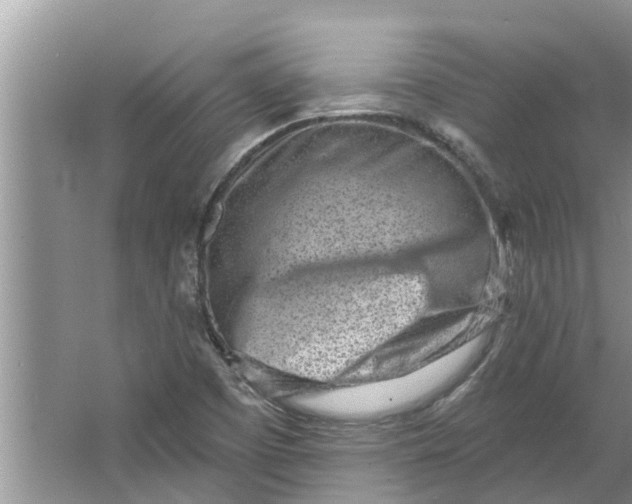 X0000064051457200602101438