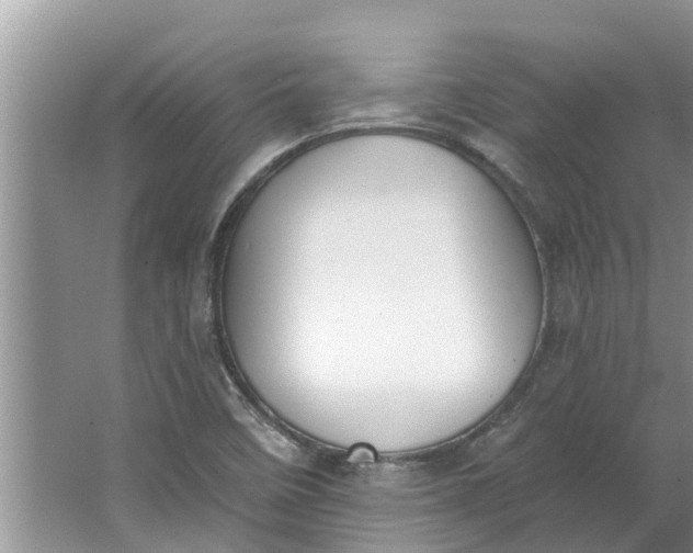 X0000064051458200602101438