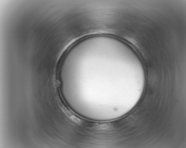 X0000064051460200602101438