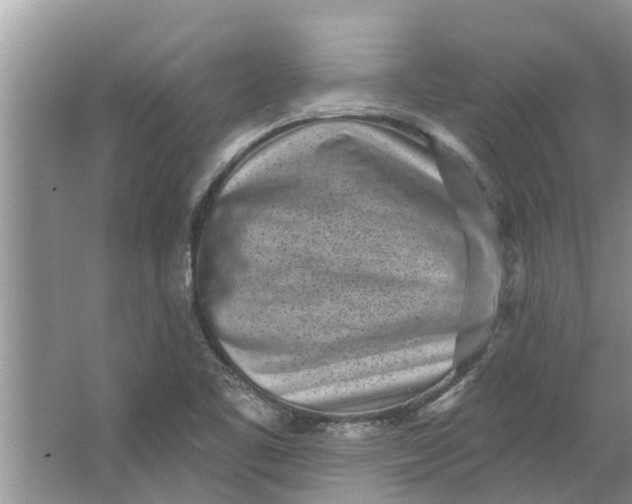 X0000064051461200602101438