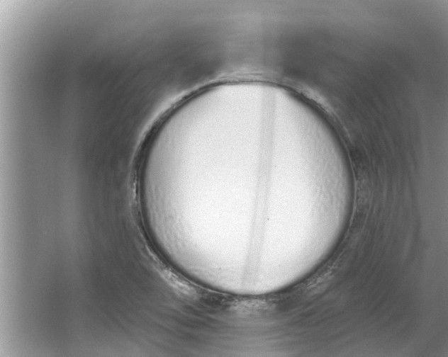 X0000064051462200602101438