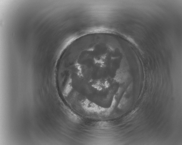 X0000064051463200602101438