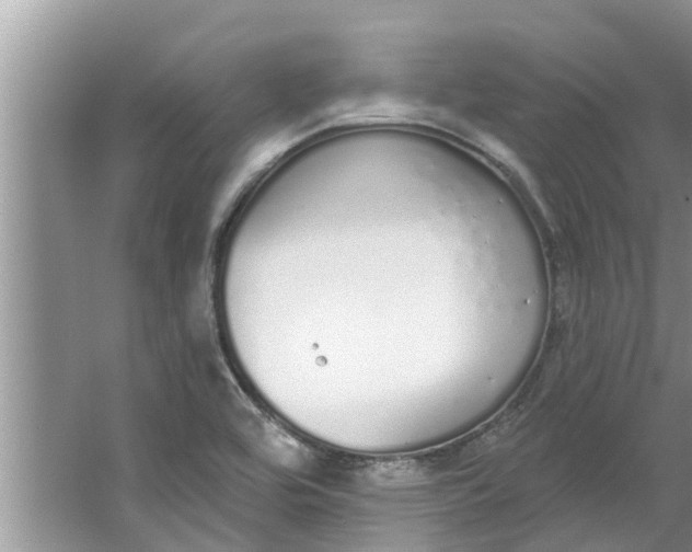 X0000064051464200602101438