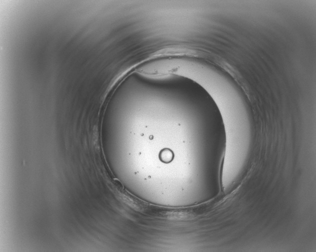 X0000064051465200602101438