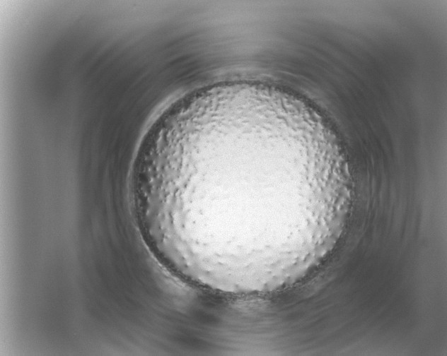 X0000064051466200602101438