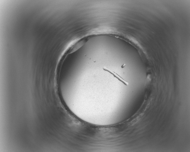 X0000064051469200602101438