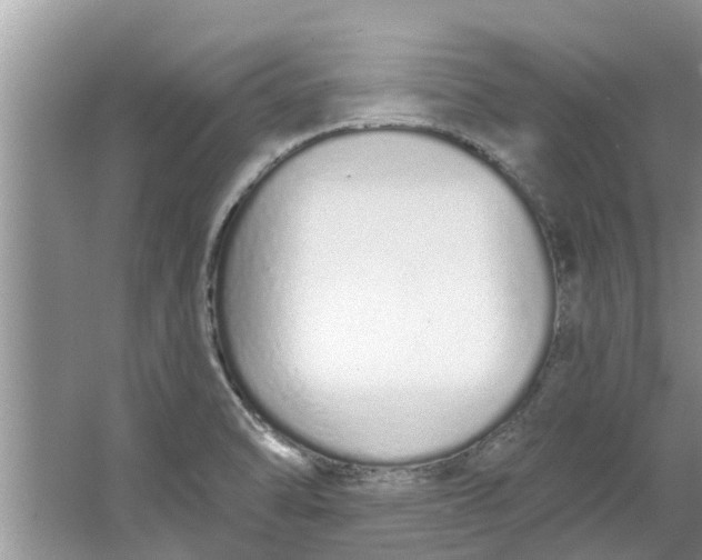 X0000064051470200602101438