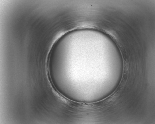 X0000064051471200602101438