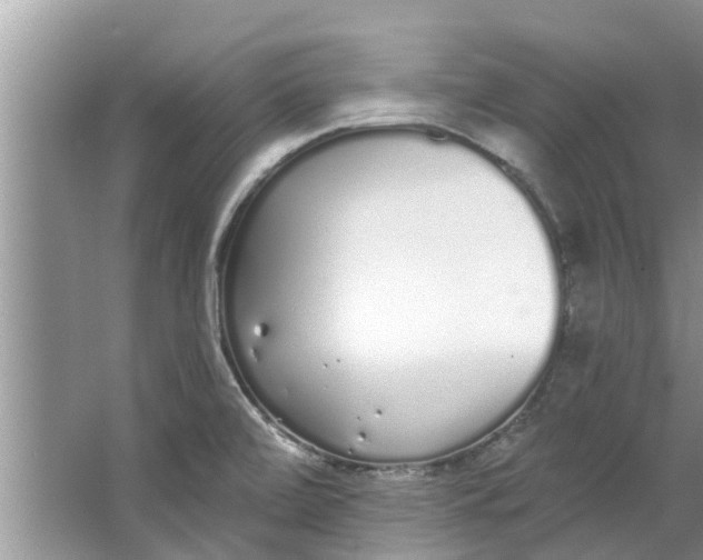 X0000064051472200602101438