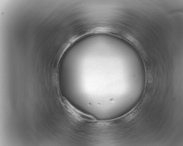 X0000064051473200602101438