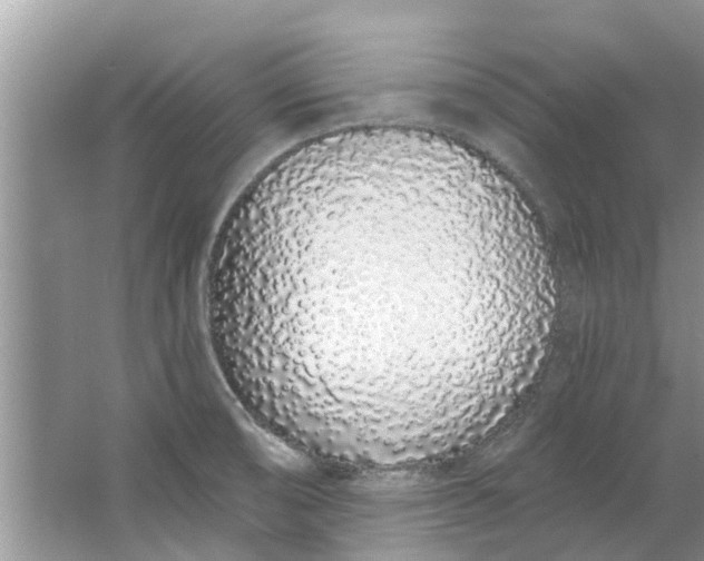 X0000064051474200602101438