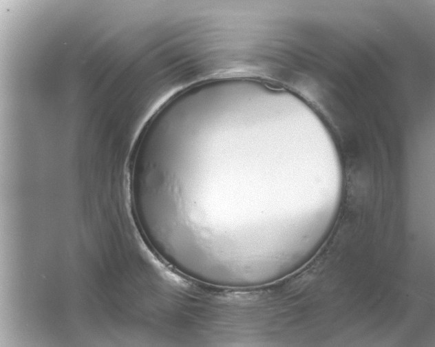 X0000064051476200602101438